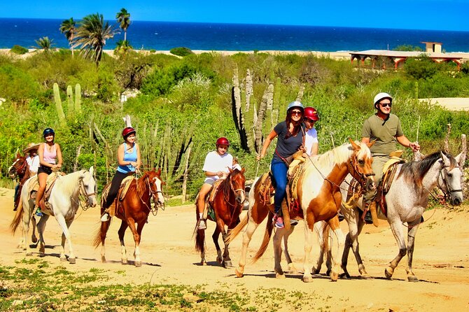Migriño Beach Horseback Riding Experience - Playa Migriño’s 10-mile shoreline: why the route feels special