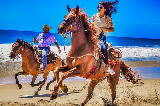 Migriño Beach Horseback Riding Experience - How the 3-hour window really works (pickup to drop-off)