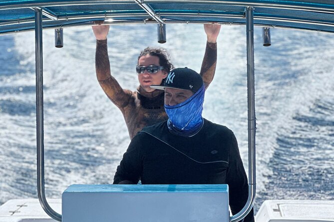 Mobulas Safari and Wildlife in La Ventana with a Marine Biologist - Punta Arena and Cerralvo Island: where the safari actually happens