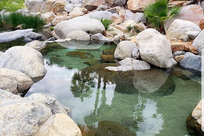 Natural Hot Springs Experience - Local plants, animals, and culture lessons (the non-cheesy kind)