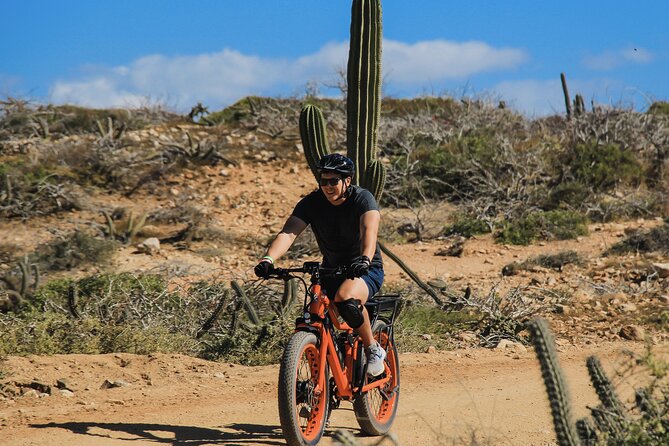New Attraction: Guinness World Record Sky Bike in Los Cabos - Migriño Beach: the Pacific reset you’ll actually want