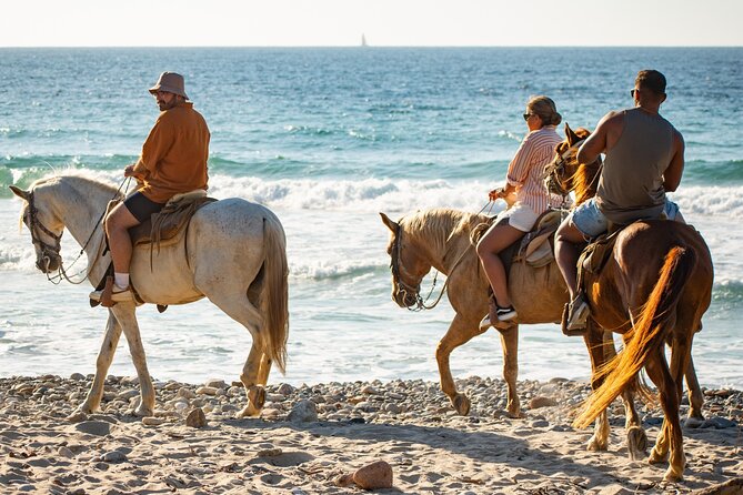 NEW!! Combo ATV & Horseback Ride. Beach & Desert. Tequila Tasting - Tequila Tasting: What’s Included and How to Think About It