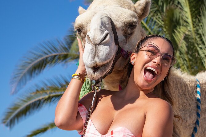 NEW! Combo Camel Beach Ride and UTV 4X4 Cabo Adventure, Tequila & - Camel Ride on Migriño Beach: a Gentle Start With Real Desert Learning