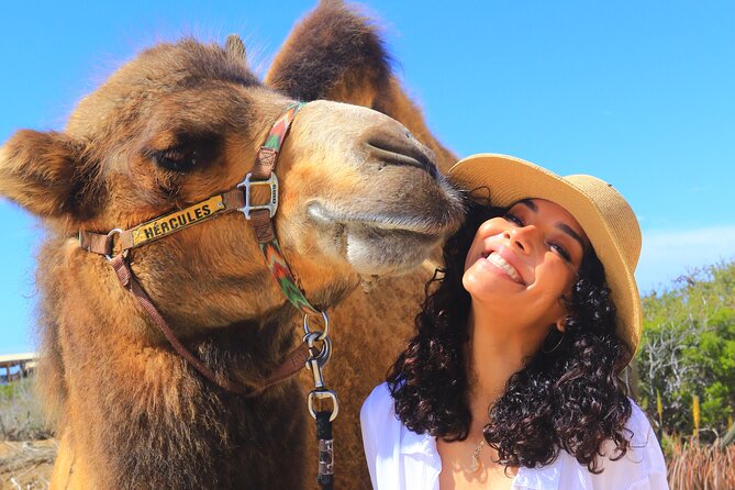 NEW! Combo Camel Beach Ride and UTV 4X4 Cabo Adventure, Tequila & - Price and the Fees You’ll Want to Budget For