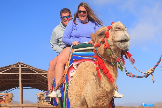 NEW! Combo Camel Beach Ride and UTV 4X4 Cabo Adventure, Tequila & - Final Decision: Should You Book This Camel and UTV Combo?