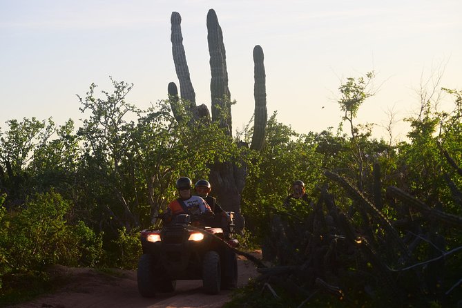 New!!! Extreme Beach & Desert Off-Road Atv Experience… - ATV choice and why you should ask about single vs double