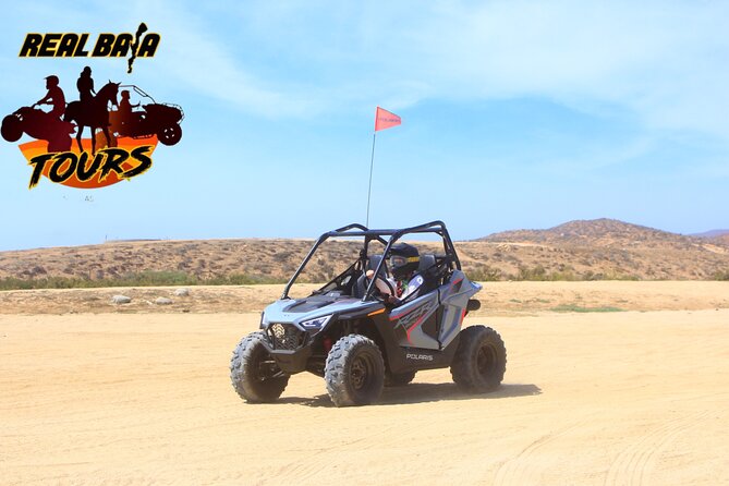 New!!! Kids Off Road Experience Automatic Mini RZR Beach & Desert - Migrino Desert ecology: wildlife you might spot, plants you’ll remember