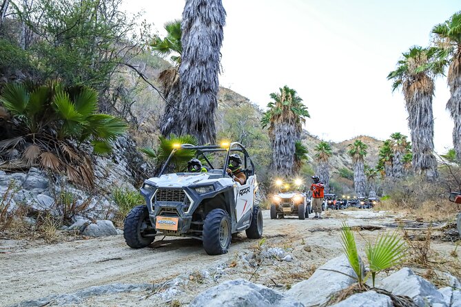 Night Ziplines & UTV Adventure + Mexican Parrillada - Moon Zipping at night: helmets, lamps, and starry skies