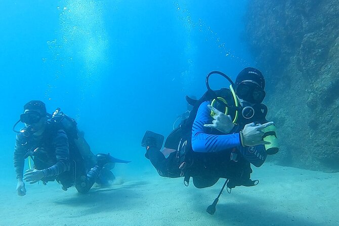 Non-Certified Diving Adventure in Cabo San Lucas - Key highlights before you go