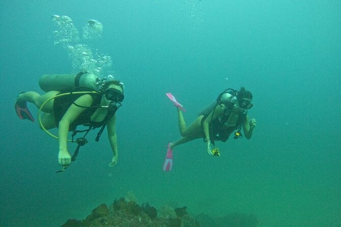Non-Certified Diving Adventure in Cabo San Lucas - El Arco and Cabo San Lucas Bay stops: what you’ll see after the water time