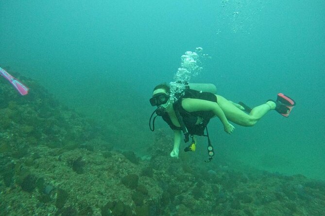 Non-Certified Diving Adventure in Cabo San Lucas - Group size, timing, and what the 2.5 hours feels like