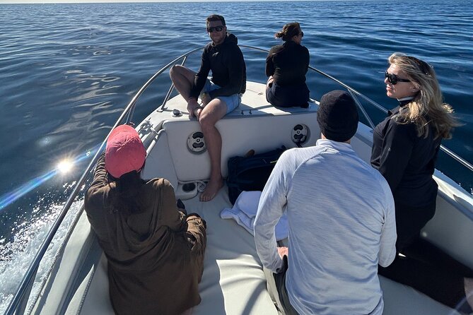 Ocean Safari in San Jose del Cabo - Wildlife odds in Cabo: what you might actually see