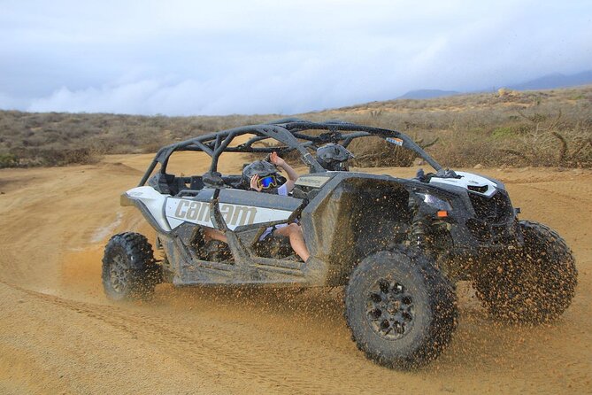 Off-Road Cabo Adventure: Beach and Desert Ride, Tequila Tasting - Who should book this UTV beach-and-desert adventure