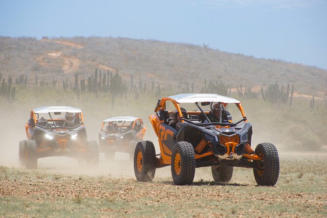 Off to Road Cabo San Lucas Adventure - Cactus Tours + the Herpentarium Stop