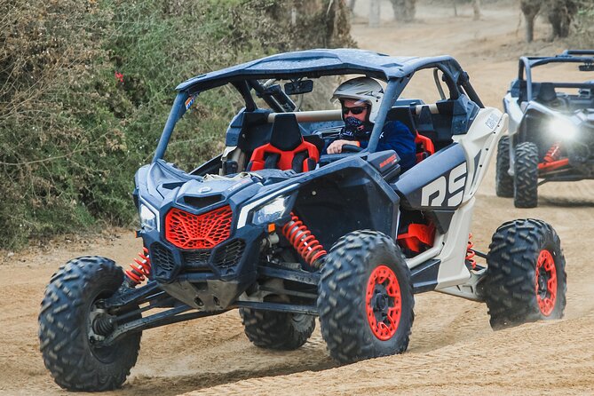 Off to Road Cabo San Lucas Adventure - Price and Value: What You’re Really Paying For