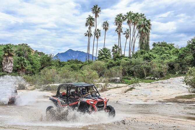 OffRoad 4X4 UTV Adventure with unlimited Lunch & Tequila - Quick Take: What Makes This UTV + Lunch + Tequila Day Work
