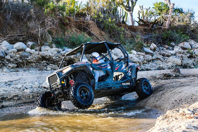 OffRoad 4X4 UTV Adventure with unlimited Lunch & Tequila - The Ocean-View Buffet Finish: Lunch Unlimited and Actually Filling