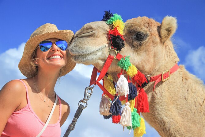 Outback Camel Ride - Quick takeaways before you ride