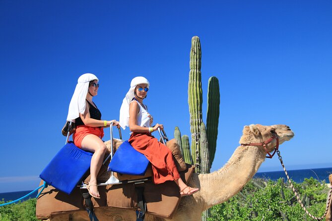 Outback Camel Ride - Cabo camel rides: what makes this one different