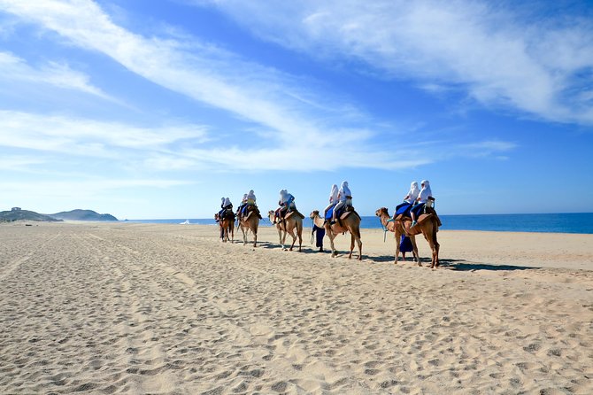 Outback Camel Ride - The camel ride itself: sand crossing, safety gear, and what to plan for