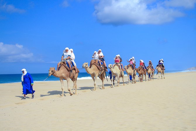 Outback Camel Ride - Beyond camels: the nature walk and eco lessons that add real value