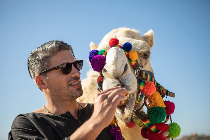 Outback Camel Ride - The food and drink stops: tortilla class, buffet lunch, and tequila/mezcal