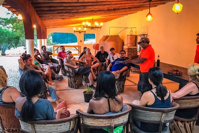 Outdoor and Zipline Adventure in Baja California - The damiana and tequila tasting stop: included, not complicated