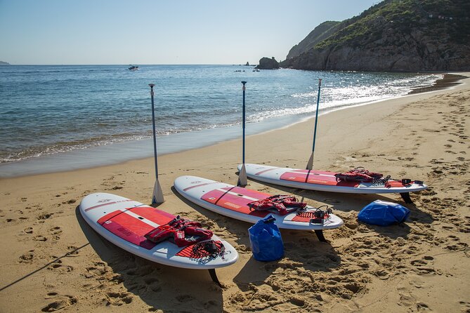Paddleboard Expedition to the Arch of Cabo San Lucas, Lovers Beach & Snorkel - Pelican Rock Snorkel + Neptune’s Finger on the Way Back