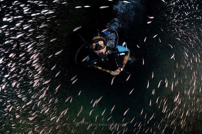 PADI Open Water Course in Cabo San Lucas - Cabo San Lucas as your classroom for PADI Open Water