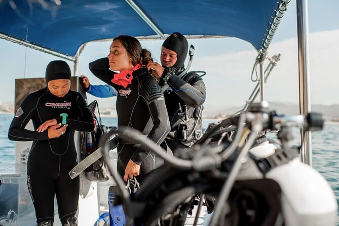 PADI Open Water Course in Cabo San Lucas - The course flow: eLearning, skills review, pool time, then four open-water sessions