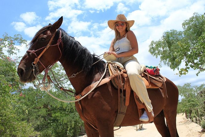 Park Pass at Wild Canyon One Place, Many Adventures - Zip Lines Up to 2,673 Feet: Why Unlimited Matters (and When It Won’t Feel Unlimited)
