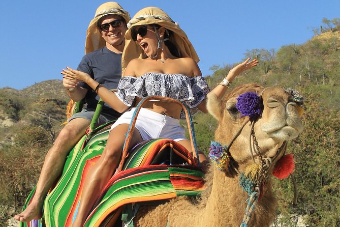 Park Pass at Wild Canyon One Place, Many Adventures - Camel Ride and Horse Riding: Fun, But It’s Not Always Long