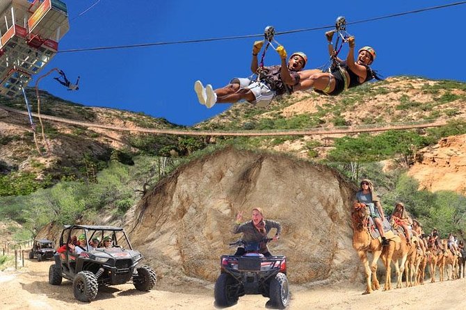 Park Pass at Wild Canyon One Place, Many Adventures - First Stop Vibe: Kingdom Rescued Animals (A Breather, Not a Side Quest)