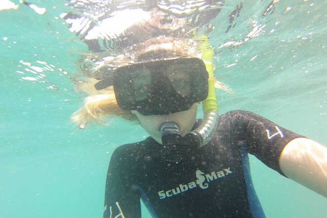 Pelican Rock Snorkeling and Sightseeing Adventure - Who’s on the Boat and Why It Feels Personal