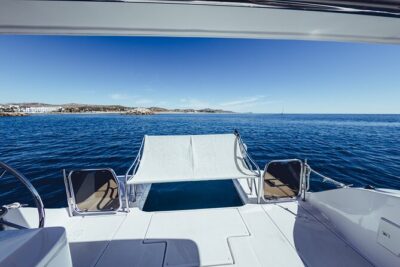 Platinum Snorkel Tour - Whale Watching in the Sea of Cortez: The Real Timing Game