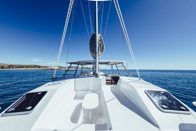 Platinum Snorkel Tour - Who Should Book This Tour (and Who Might Skip)