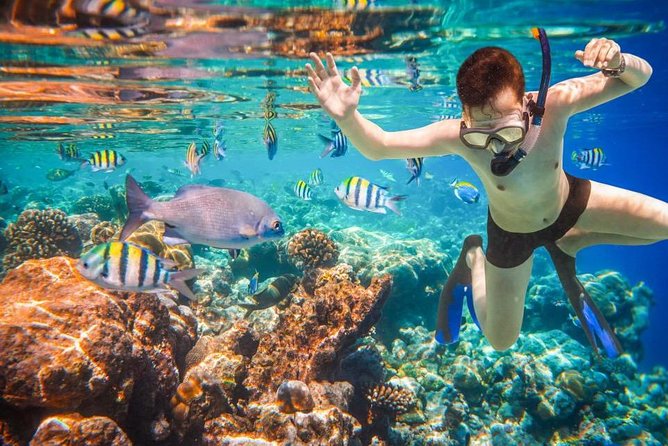 Private 3-Hour Snorkeling Tour with Arch Tour and Beach Time - Snorkeling stops (and why Pelican Rock is the headline)