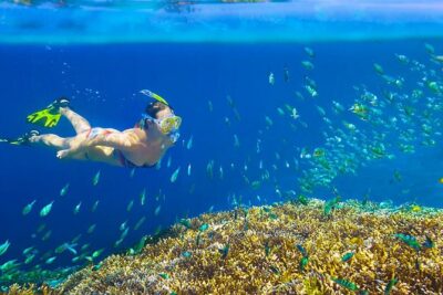 Private 3-Hour Snorkeling Tour with Arch Tour and Beach Time - Meeting point in the marina maze: Dock 1 by the green gate