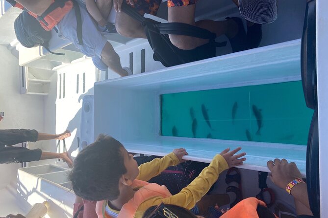 Private 3-Hour Snorkeling Tour with Arch Tour and Beach Time - Lover’s Beach time: classic, but tide can change it