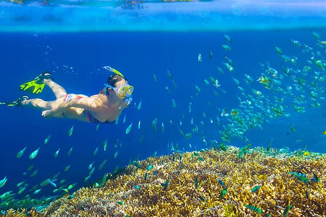 Private 3-Hour Snorkeling Tour with Arch Tour and Beach Time - Meeting point in the marina maze: Dock 1 by the green gate