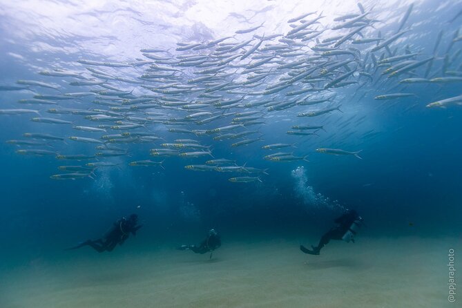 Private Beginner Scuba Diving Experience in Cabo San Lucas - How the Team Builds Confidence on Land