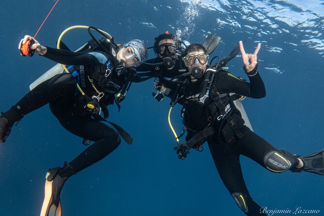 Private Beginner Scuba Diving Experience in Cabo San Lucas - Going Out Toward El Arco: Depth Limits and Wildlife Chances
