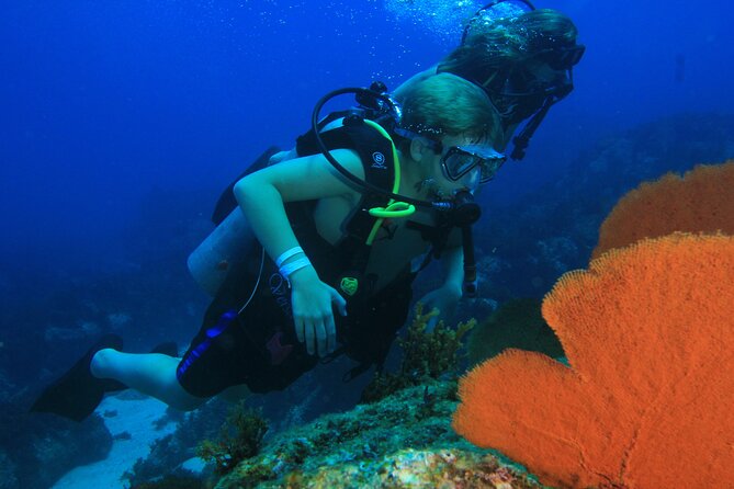 Private Beginner Scuba Diving Experience in Cabo San Lucas - Who This Experience Fits Best in Cabo