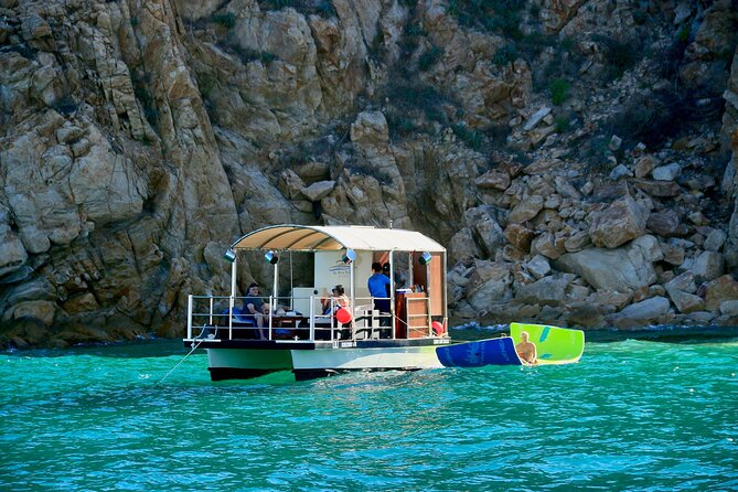 Private Catamaran Escape for 2–6 Guests: Celebrate Your Way - Wildlife, Whales, and the Reality of Nature