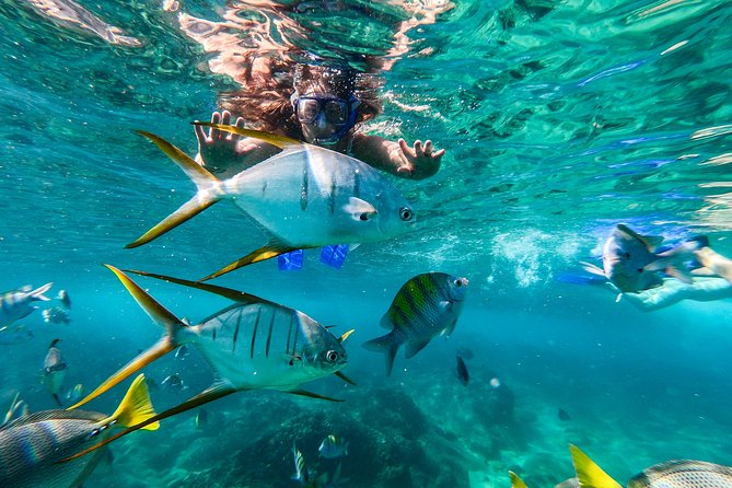Private Day Trip to San José & Cabo San Lucas - Price and Value: $760 for Up to 8, Not $760 for One