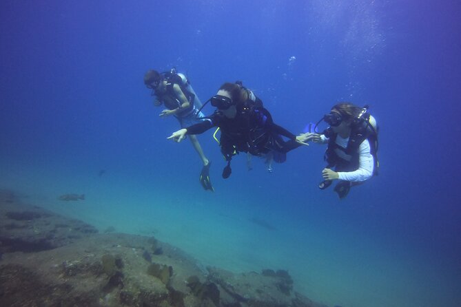 Private Dive Boat for Certified Divers - Cabo San Lucas - Choosing Two Underwater Stops, Including the Arch Surface Break