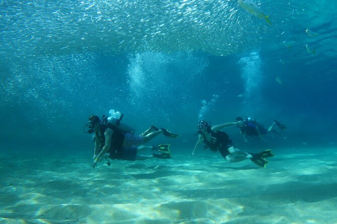 Private Dive Boat for Certified Divers - Cabo San Lucas - From Cabo Marina to the Water in Under an Hour