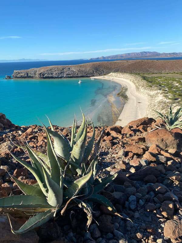 Private experience from Cabo San Lucas to La Paz: (Balandra beach) - Cabo to La Paz: why this route works so well