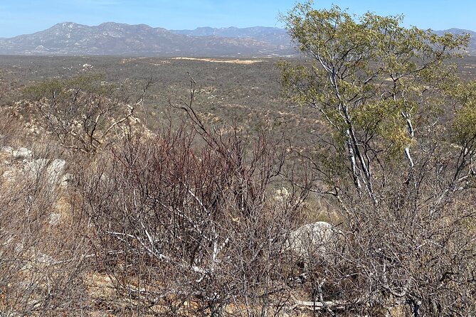 PRIVATE Fun Hiking Tour with Awesome Views - Price and Value: Why $85 Can Make Sense Here
