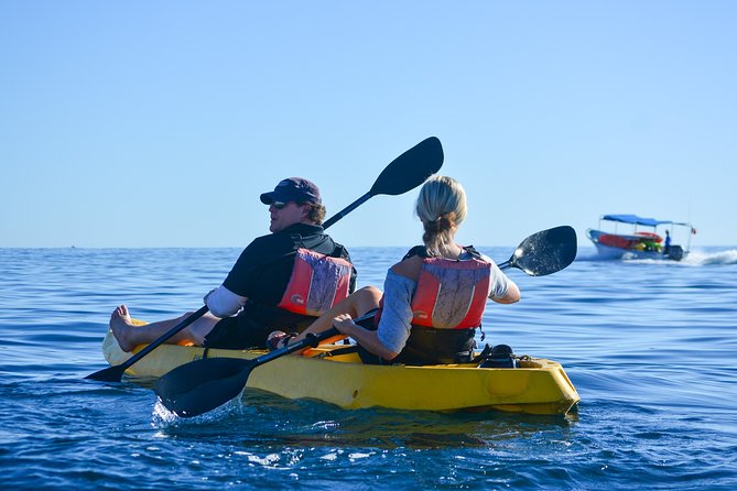 Private Glass bottom Kayak and snorkel at two Bays - Private Guide, Small Group Size, and the Calm Power of Flexibility